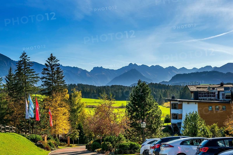 Green meadows, Allgäu Alps and mixed forest with colourful flags near Ofterschwang, Allgäu, Bavaria, Germany