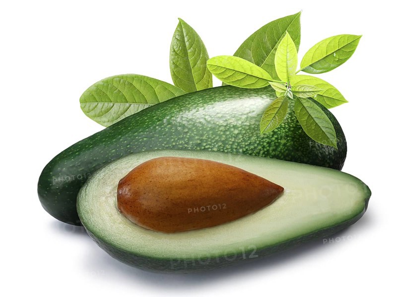 Whole and half green avocado Fuerte (Persea americana) with leaves. Clipping paths, shadow separated