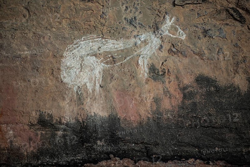 Depiction of a kangaroo, Kakadu National Park, Northern Territory, Australia