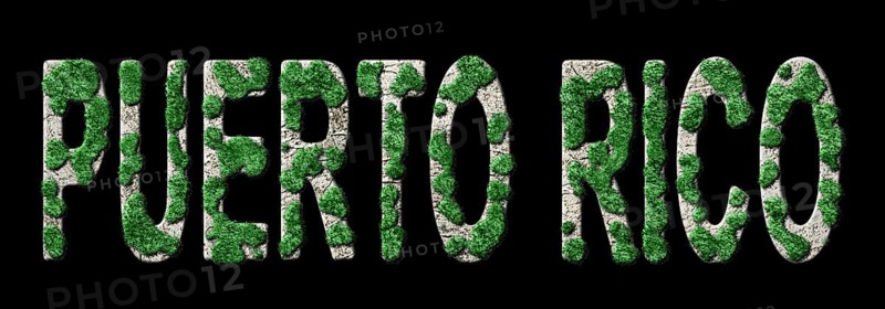 Puerto Rico Reforestation and Climate Message, Sustainable Green Typography, Green Agenda
