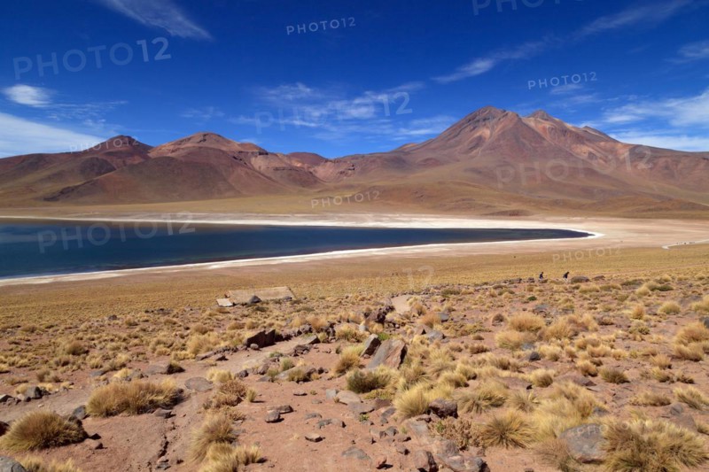 Laguna Miscanti in the Atacama Desert in Chile