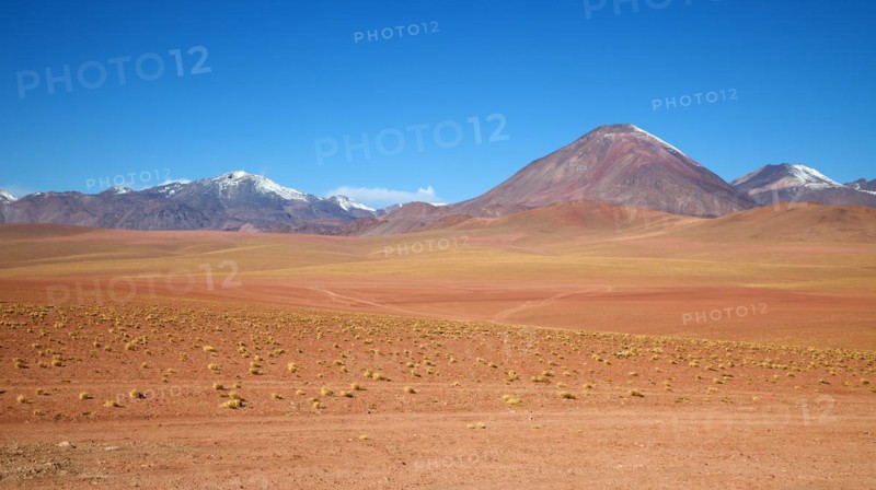 Atacama Desert Laguna Chaxa