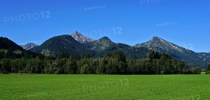 Tannheimer Tal, Tyrol, Austria, view of the Geißhorn in the Allgäu Alps