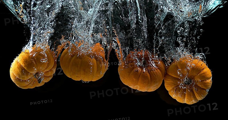 Dwarf Pumpkin (cucurbita pepo), Fruit Falling into Water against Black Background