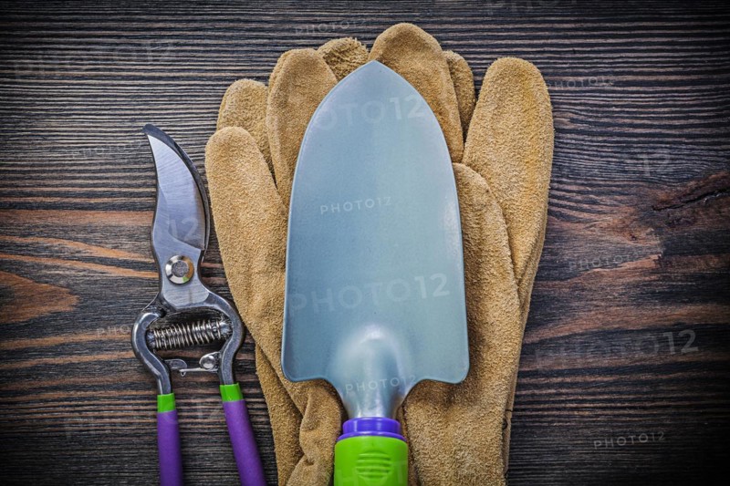 Hand spade Garden shears Safety gloves on wooden board Agriculture concept