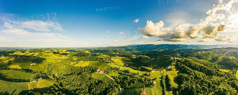 South styria vineyards aerial panorama landscape. Grape hills view from wine street in summer. Tourist destination, travel spot