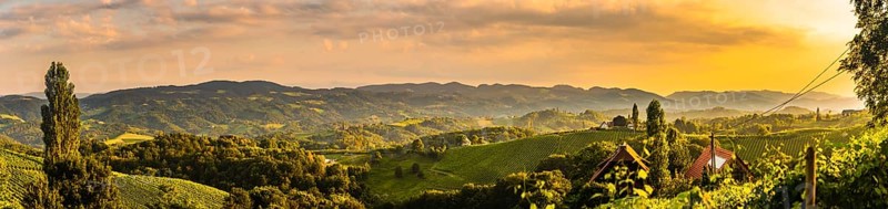 South Styria Vineyards landscape in Sulz Austria. View at Vineyard fields in sunset sun in summer. Tourist destination
