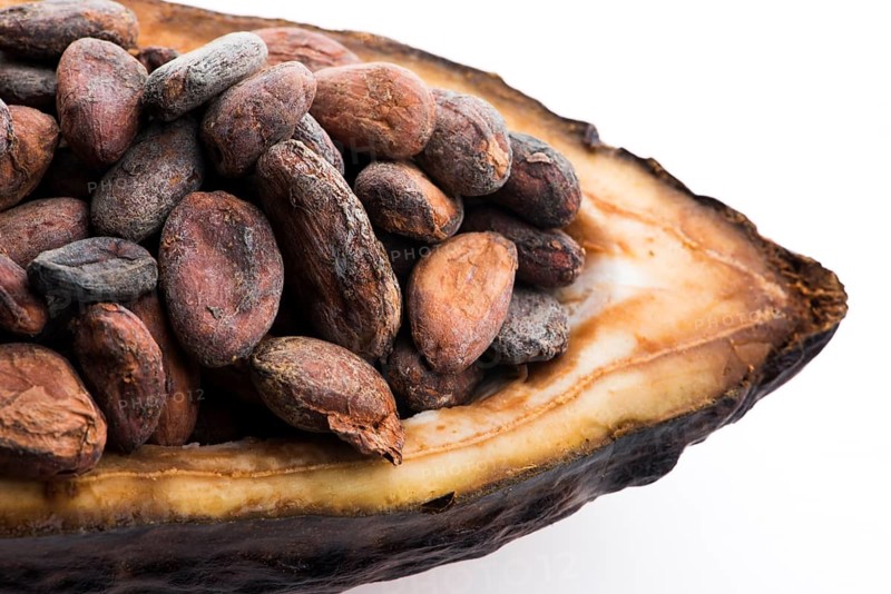 Cocoa (cacao) beans on a beanpod with focus on foreground