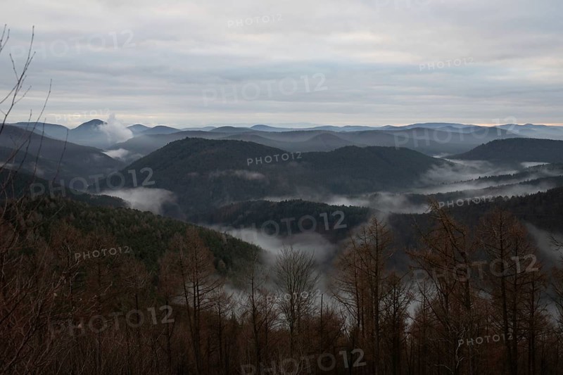 View from a sandstone cliff in the middle of the forest. Landscape with a marvellous view over a misty forest in a valley. Sunrise in the Palatinate Forest, Germany