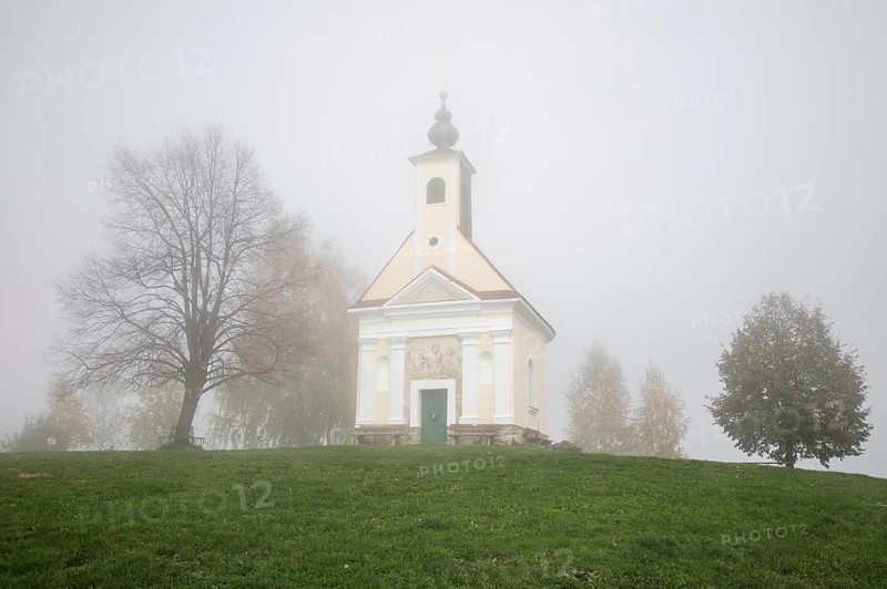 Karger tree, autumn atmosphere with fog, Theresienkapelle, Mass chapel Maria vom Guten Rat, Sausal, Styria, Austria