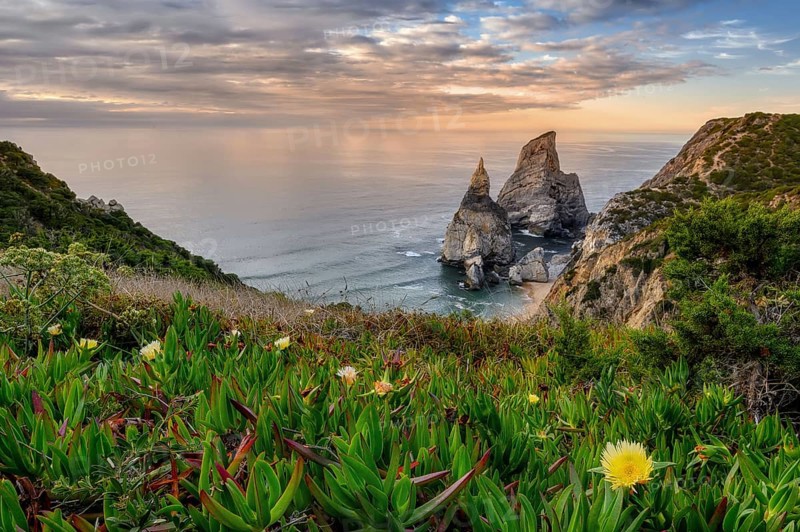 Farol do Cabo de Boca, Portugal's westernmost coast with a beach and flowers at sunset