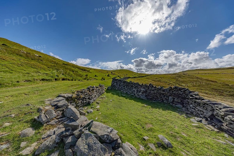 Hilly landscape with green meadows and stone wall, dry stone wall on the edge of Snowdonia National Park, Penmaenmawr, Dwygyfylchi, Caernarfonshire, Conwy County Borough, Wales, United Kingdom