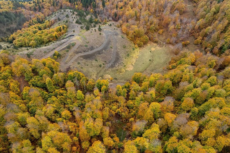 Drone aerial of Autumn forest road. View of autumn forest road with fallen leaves Fall season scenery. Epirus Greece