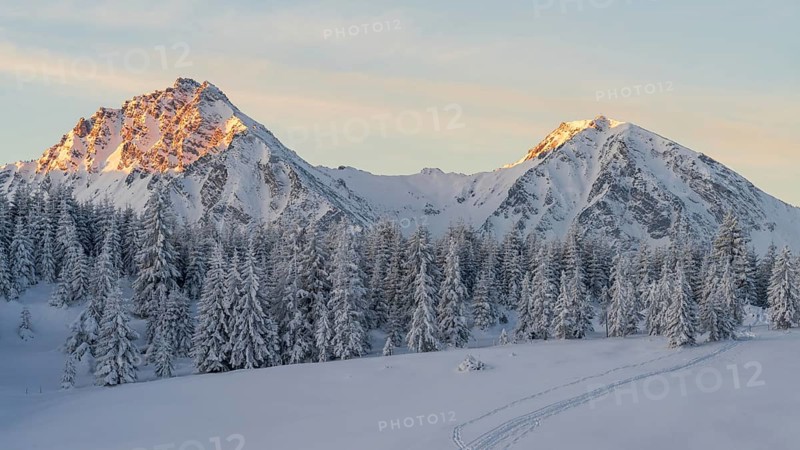 Winter landscape picture from tannheimer valley mountain pirschling and schönkahler with fresh snow