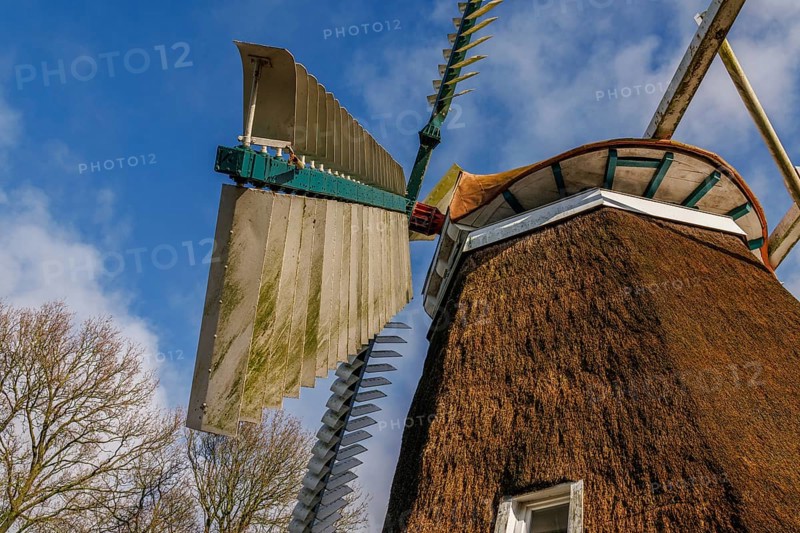 Windmill with large wings in front of a clear sky and surrounded by nature, burlage, east frisia, germany