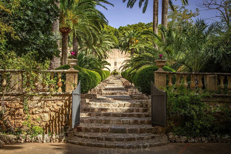 Stone steps lead through a Mediterranean garden with lush palm trees, Jardines de Alfabia, Bunyola, Majorca, Spain