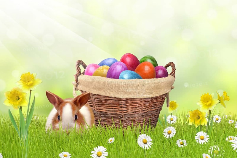 Easter Bunny