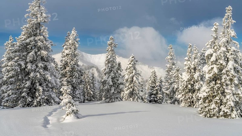 View from Mountain Wannenkopf near Nagelfluhkette in winter above the clouds