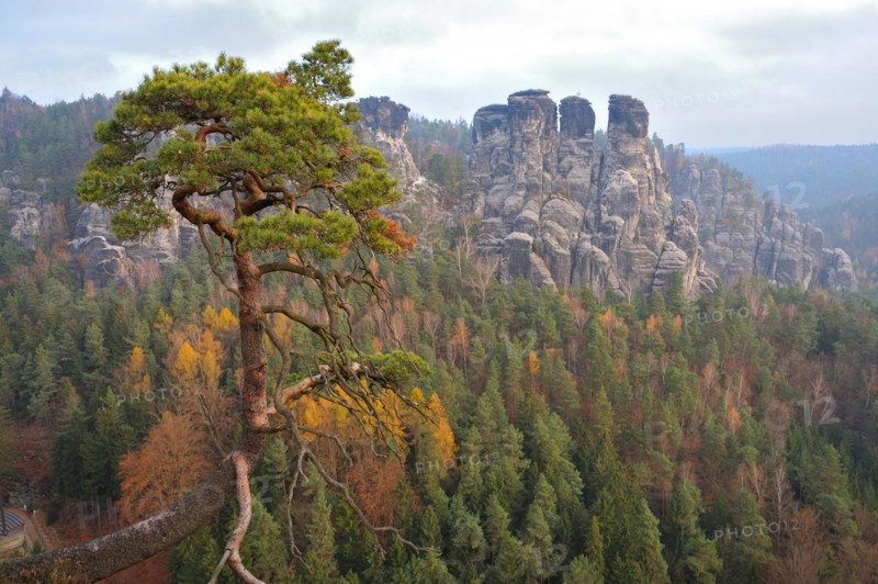 Elbe Sandstone Mountains near Rathen, Gansfelsen, Bastei National Park Saxon Switzerland, Sandstone Cliffs, Germany, Germany