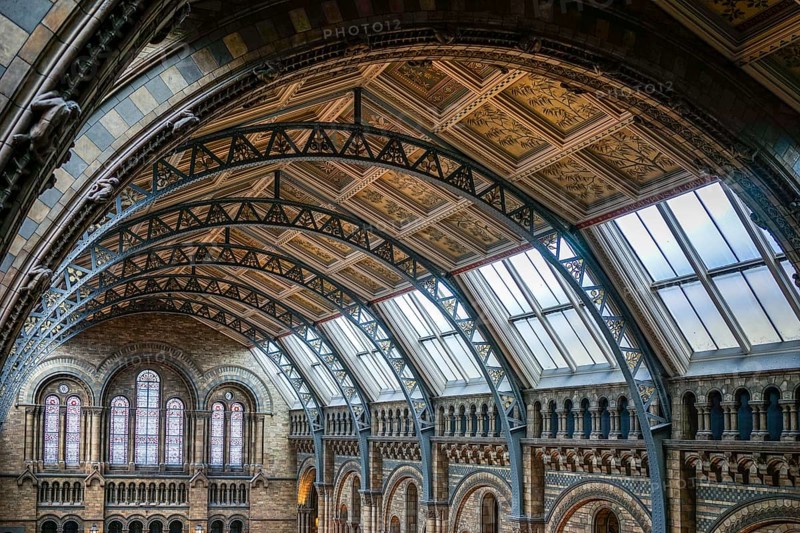 Ceiling detail of the Natural History Museum in London