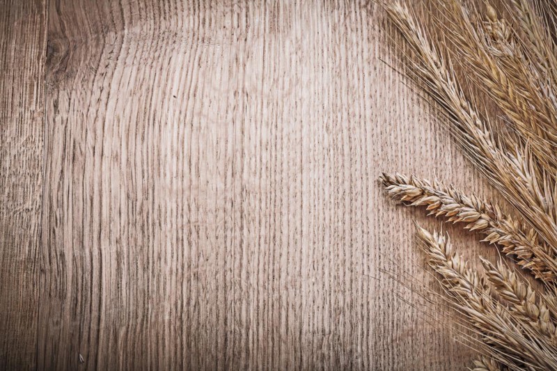 Wheat rye ears on wooden board copyspace food and drink concept