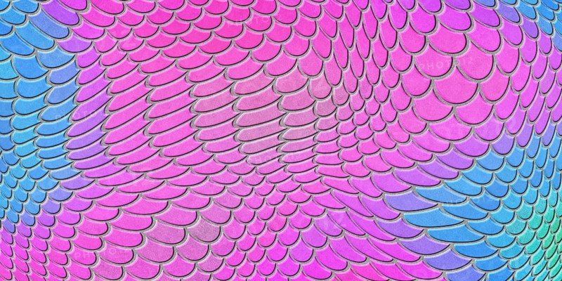 Blue pink mermaid scales, fish scale, Fantasy texture