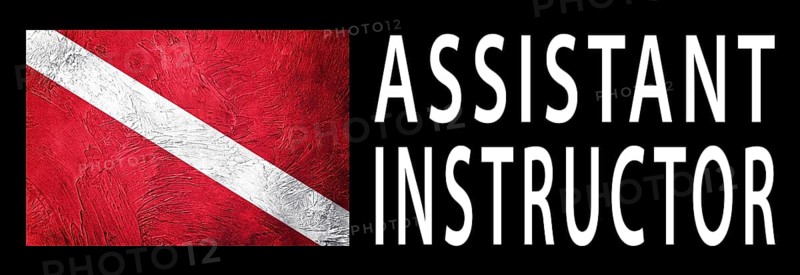 Assistant Instructor, Diver Down Flag, Scuba flag, Scuba Diving