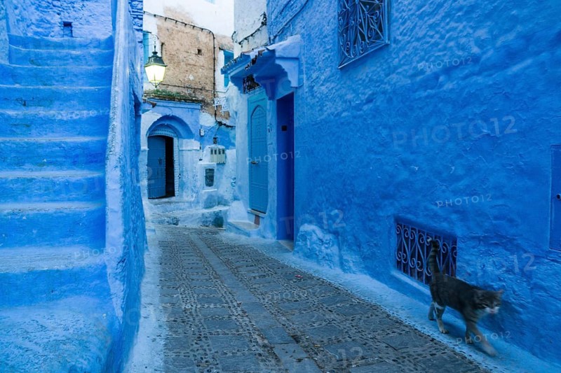 Medina of Chefchauen, -Chauen-, Morocco, north of Africa