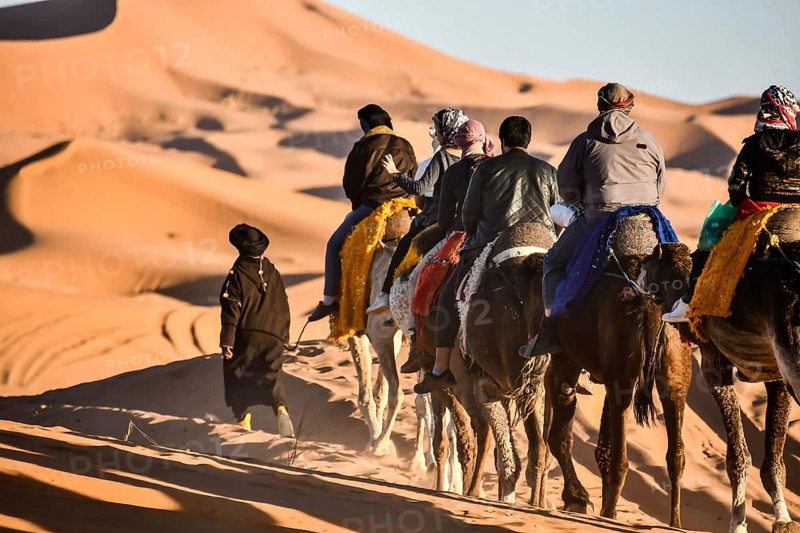 Group of people riding horses in desert