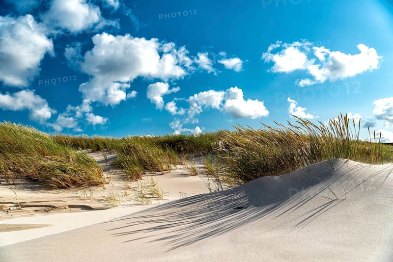 Dunes on the Baltic Sea with marram grass