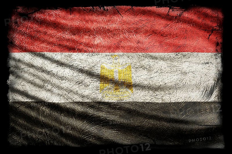 Egypt Flag, Grunge Texture Background