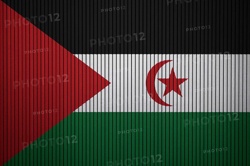 Western Sahara Flag painted on the cracked grunge concrete wall