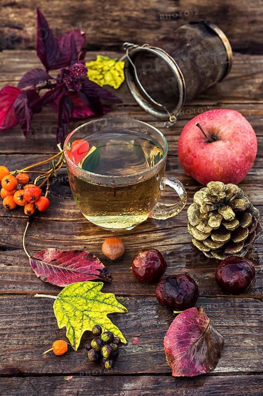 Transparent cup with herbal tea on the table strewn with autumn leaves, chestnuts and pine cones