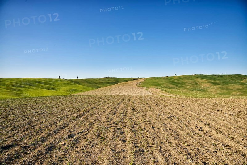 The Crete Senesi are one of the most famous areas of Tuscany