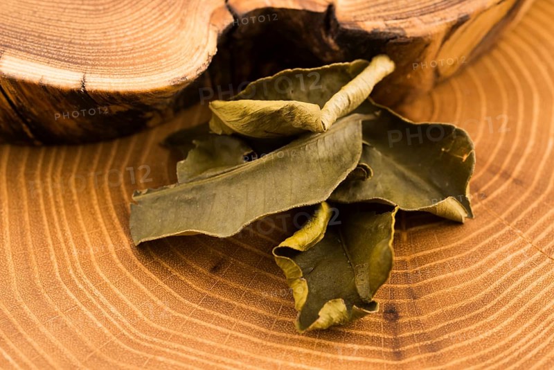 Cassia leaves