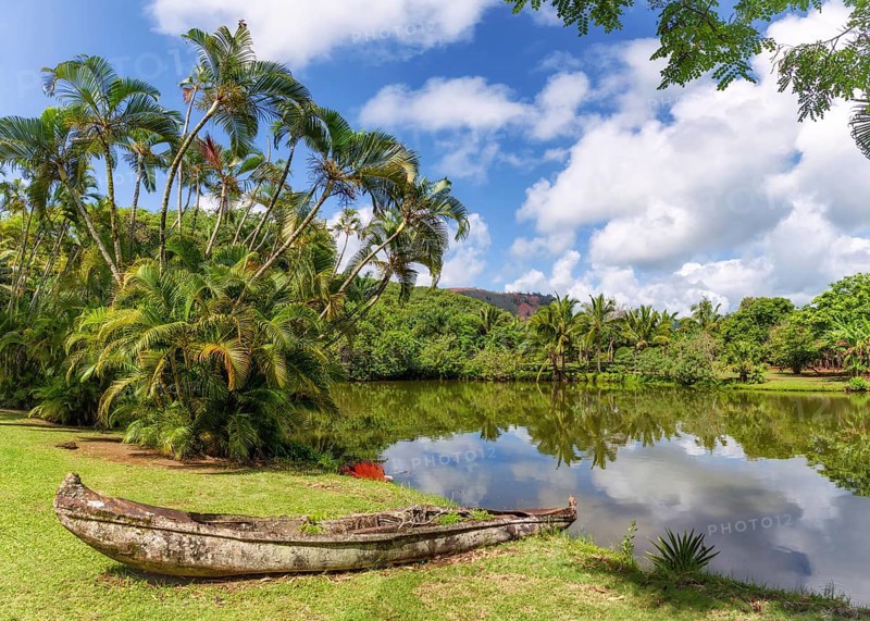 A forgotten canoe decays in the jungles of Kauai, Hawaii
