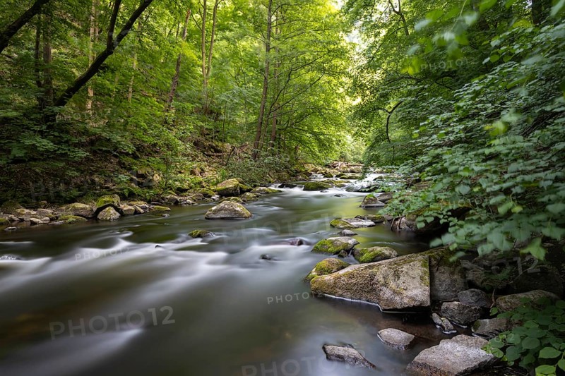 The Bode Valley in the Harz hiking paradise of Thale