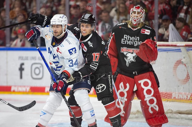 LanxessArena, Cologne, North Rhine-Westphalia, Jan-Luca Sennehnn (Cologne Sharks, #17), Tom Kühnhackl (Adler Mannheim, #34), PENNY DEL, Cologne Sharks - Adler Mannheim on 22/09/2024 at the LanxessArena in Cologne Germany