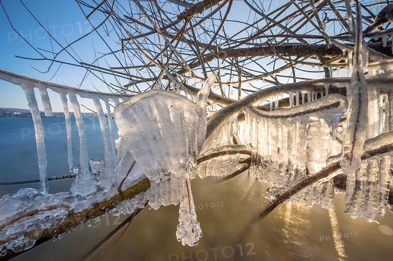 Branches with shimmering icicles over the lake, Niederzell, Reichenau, Lake Constance, Baden-Württemberg, Germany