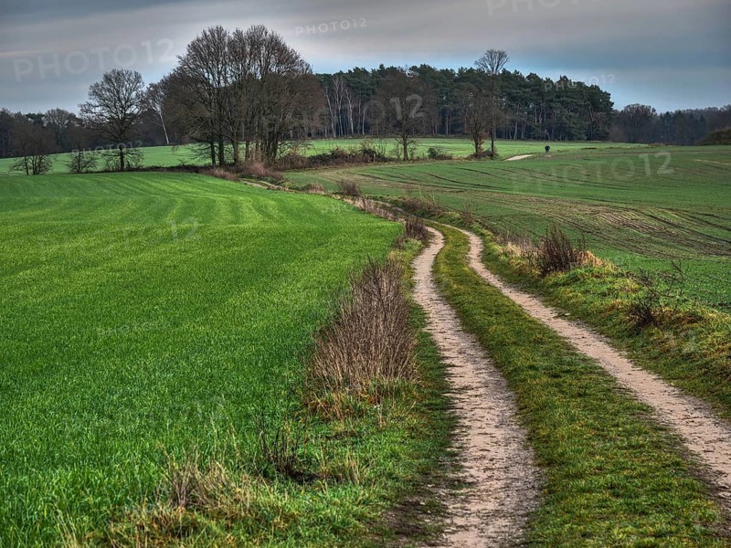 Landscape with green fields, a zigzag path and sky, Reken, münsterland, germany