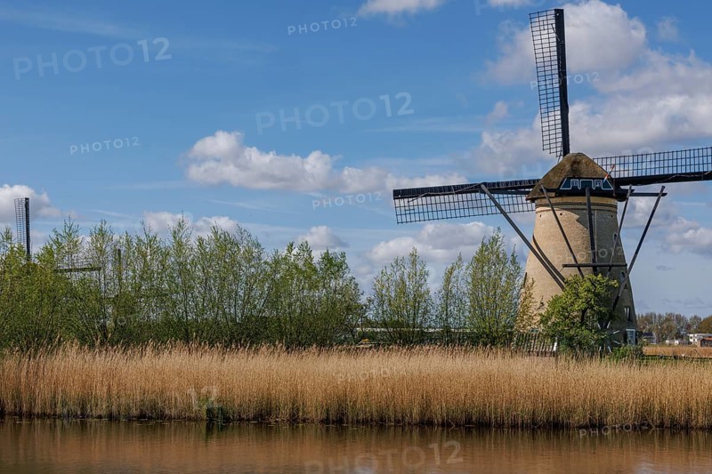 A traditional windmill in a wide landscape with meadow, water and cloudy sky on a summer's day, kinderdijk, the netherlands