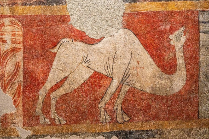 Dromedary in Romanesque mural painting, Church of Sant Joan de Boí, Alta Ribagorça, National Museum of Catalonia, Barcelona, ??Catalonia, Spain