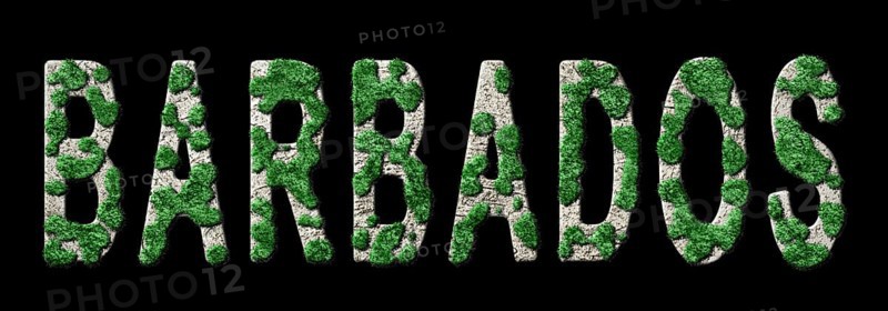 Barbados Reforestation and Climate Message, Sustainable Green Typography, Green Agenda