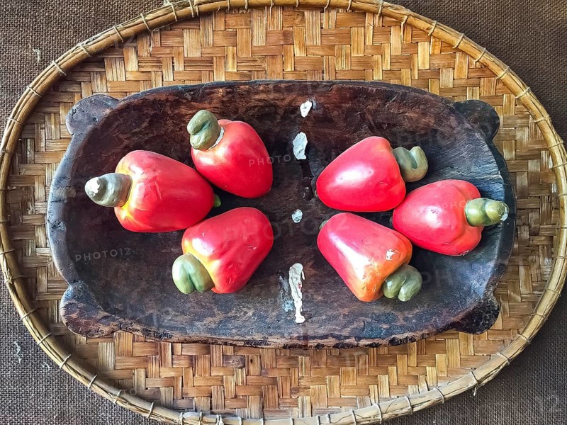 Wooden bowl decorated with six red cashew fruits, Pantanal Wetlands, Mato Grosso, Brazil