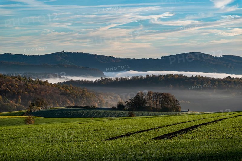 A hilly landscape shrouded in morning mist with green fields and forests in autumn light, Ottensteiner Hochebene, Weserbergland, Lower Saxony, Germany