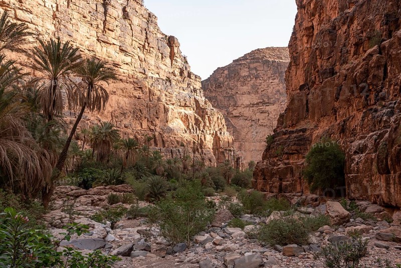 Hiking through the iconic Amtoudi canyon in the Anti-Atlas, Morocco