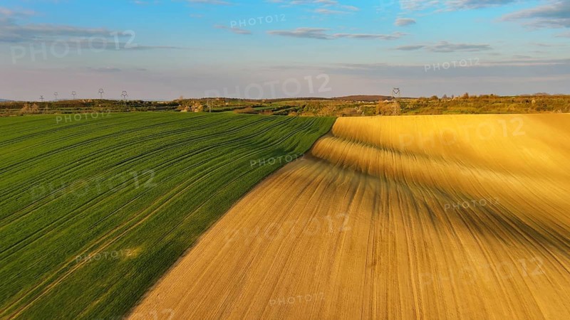 Aerial view of amazing green wavy hills with agricultural fields in evening spring. South Moravia region, Czech Republic