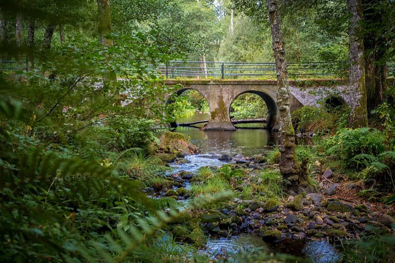Bridge over the river Rego de Mera on the hiking trail Ruta Dos Muinos, near Lugo in Galicia, Spain. Alternative route for Camino Primitivo