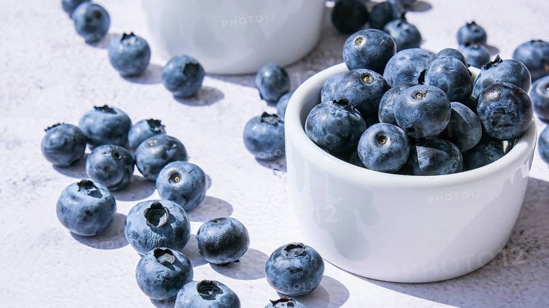 Fresh blueberries background with copy space. Blueberry antioxidant organic superfood in bowls concept for healthy eating and nutrition. Harvesting concept. Vegan Vegetarian
