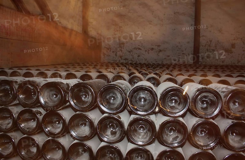 Wine growing in Chile has a long tradition. The country's unique climatic conditions, with warm temperatures during the day and summer nights of sometimes less than 10 degrees Celsius, provide ideal growing conditions for powerful complex wines. Already the Spanish conquerors brought winegrowing to South America. The first vines were planted in Chile in the middle of the 16th century.